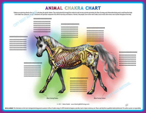 Animal-Chakra-Pendulum-Charts